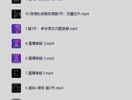 跨境私域极速成交线上高级课