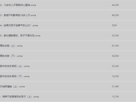 父母与孩子沟通相处五门必修大课（MP3）