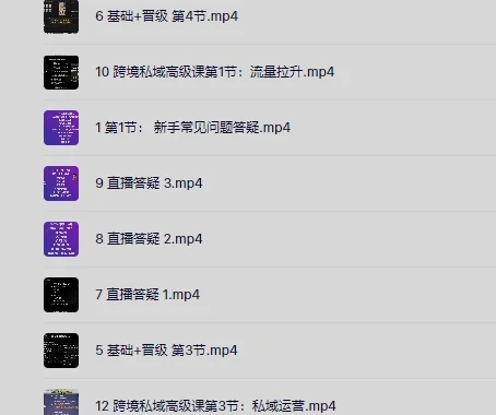 跨境私域极速成交线上高级课