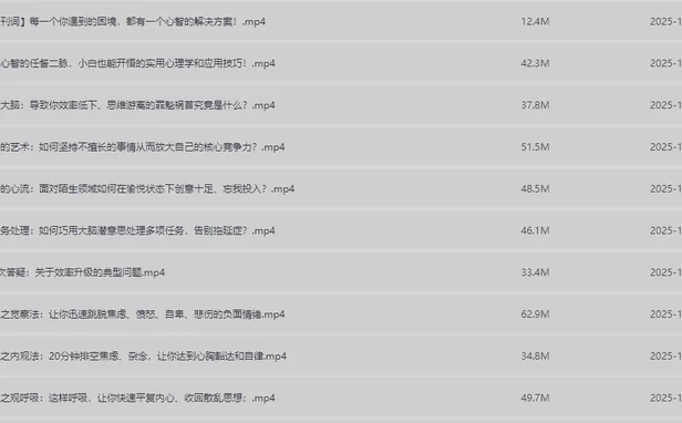 哈佛学霸大脑开窍术，15天实现效率翻倍的系统训练