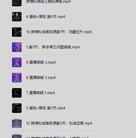 跨境私域极速成交线上高级课