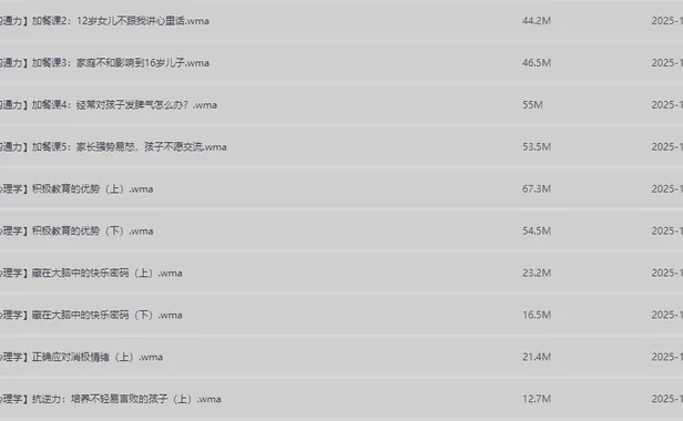 父母与孩子沟通相处五门必修大课（MP3）